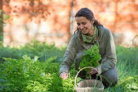 Le jardin de Mathilde Le jardin de Mathilde