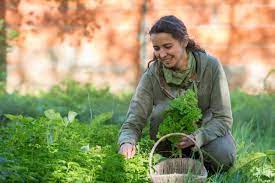 Le jardin de Mathilde