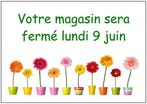 Photos du magasin